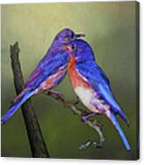 For Love Of Bluebirds Canvas Print