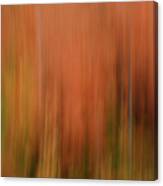 Forest Illusions- Autumnal Fire Canvas Print