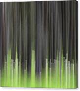 Forest Illusions- Lodgepole And Bear Grass Canvas Print