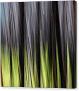 Forest Illusions-nature Bound Canvas Print