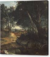 Forest Of Fontainebleau Canvas Print