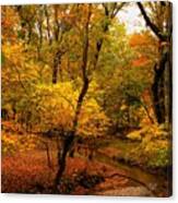 Forest Stream - Allaire State Park Canvas Print