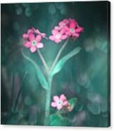 Forget Me Not Pink Canvas Print