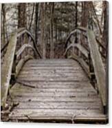 Forgotten Footbridge Canvas Print