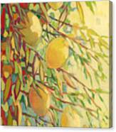 Four Lemons Canvas Print
