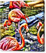 Four Pink Flamingos Canvas Print