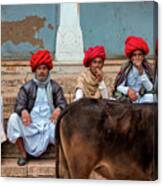 Four Rajasthani Brothers And A Holy Cow Canvas Print