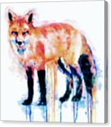 Fox Canvas Print