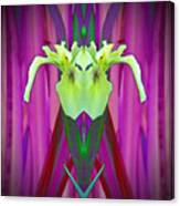 Freaky Iris Canvas Print