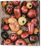 French Market Finds - Tomatoes Canvas Print