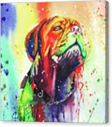 French Mastiff Canvas Print