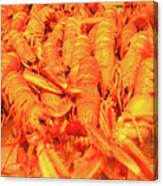 Fresh Shell Fish For Sale Canvas Print