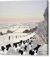 Friesians In Winter Canvas Print