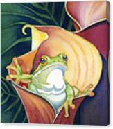 Frog In Gold Calla Lily Canvas Print
