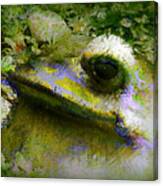 Frog In The Pond Canvas Print