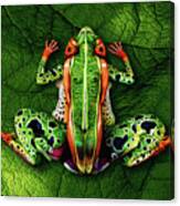 Frog Bodypainting Illusion Canvas Print