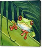 Frog Peek Canvas Print