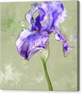 From Charlotte's Garden Canvas Print