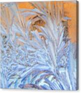 Frost Patterns On Window Canvas Print