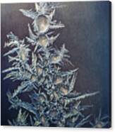 Frost Canvas Print