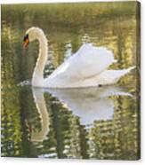Frosted Swan Canvas Print