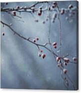 Frozen In Time 2 Painting Canvas Print