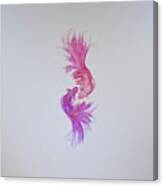 Fuchsia Tango Canvas Print