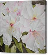 Full Bloom Canvas Print