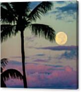 Full Moon And Palm Trees Canvas Print