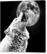 Full Moon Howl Canvas Print