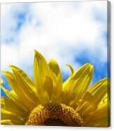 Fun In The Sun Canvas Print