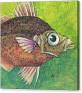 Funky Fish Canvas Print