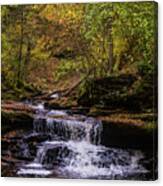 Ganoga Glen Canvas Print