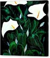 Garden Lilies Canvas Print
