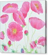 Garden Poppies Canvas Print