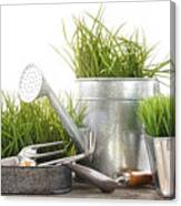 Garden Tools And Watering Can With Grass Canvas Print