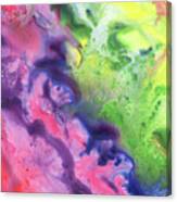 Gazing At The Rainbow Abstract Ii Canvas Print