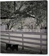 Gentle Country Day Black And White Canvas Print