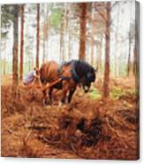 Gentle Giant - Horse At Work In Forest Canvas Print