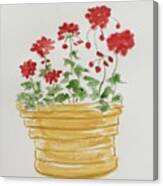 Poppies In A Pot Canvas Print