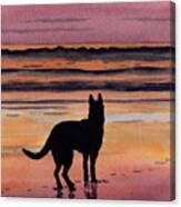 German Shepherd At Sunset Canvas Print