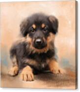 German Shepherd Puppy Portrait Canvas Print