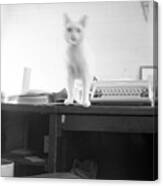 Ghost Cat, With Typewriter Canvas Print
