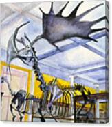 Giant Deer, Dublim Museum Canvas Print