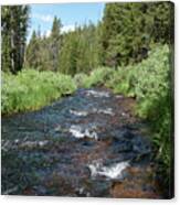 Gibbon River Canvas Print