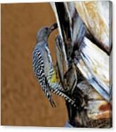 Gila Woodpecker V33 Canvas Print