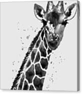 Giraffe In Black And White Canvas Print