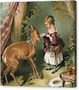 Girl Feeding A Deer Canvas Print