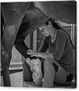 Girl Treats Horse Canvas Print