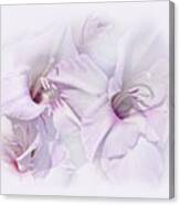Gladiola Flowers Lavender Pastel Canvas Print